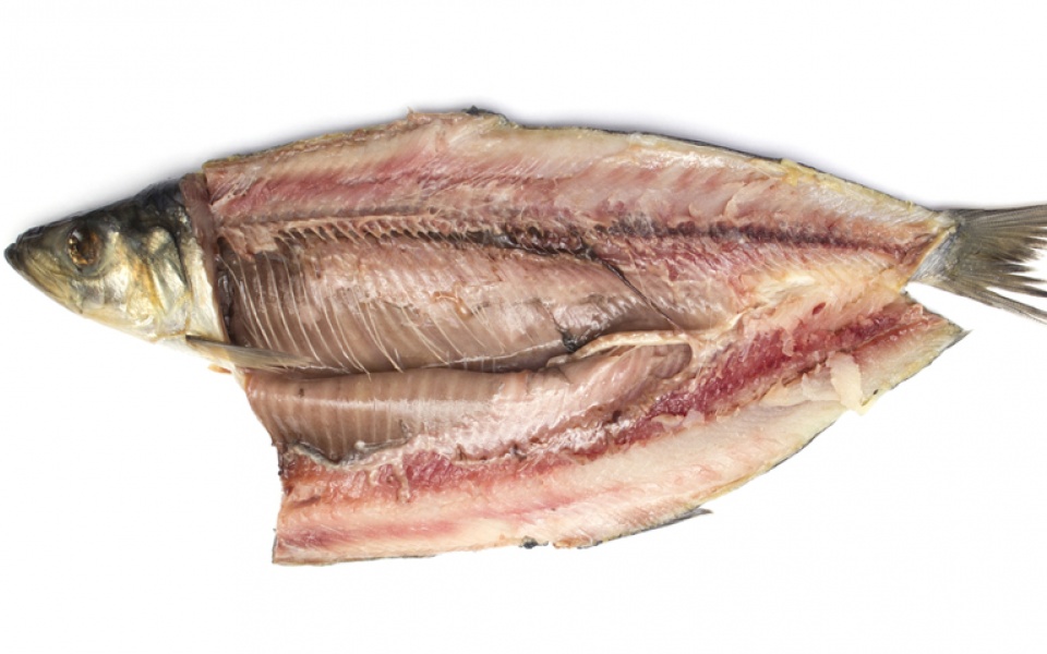 SALTED HERRINGS