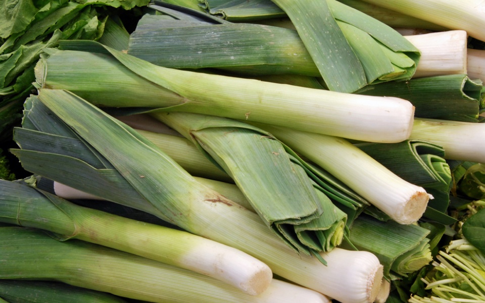 LEEK